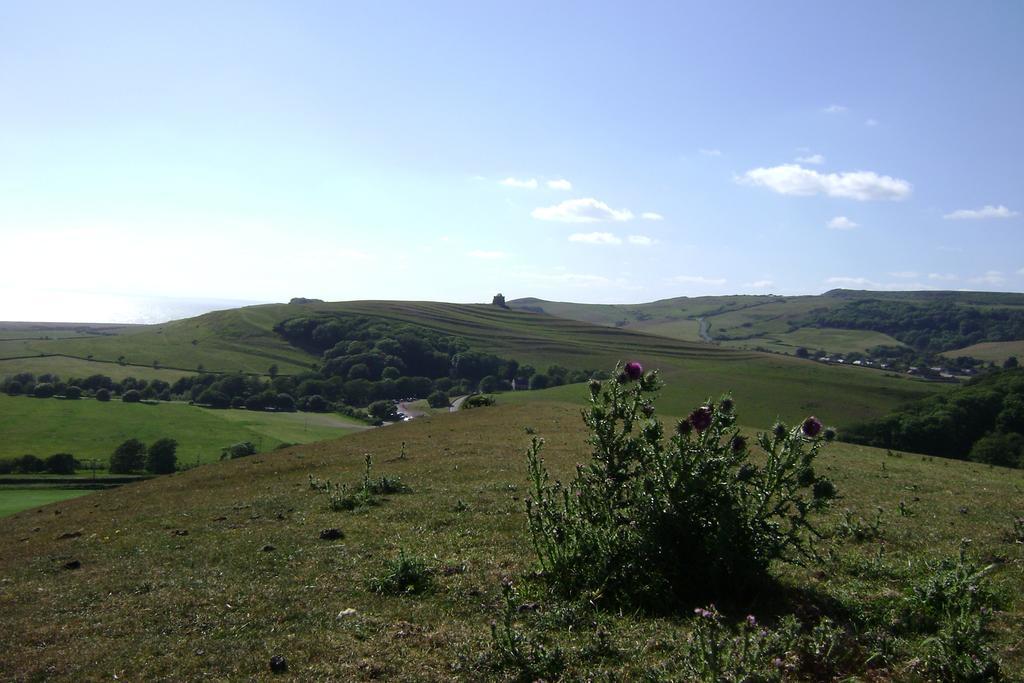 East Farm House B&B Abbotsbury Exterior photo